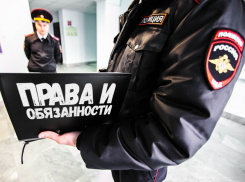 Что делать, если полицейский просит пароль от телефона для досмотра