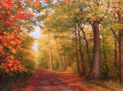 Выставка живописи «Территория вдохновения» пройдет в Краснодаре