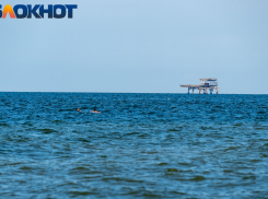 Ждут приказа: самолеты МиГ-31 с «Кинжалами» в сопровождении истребителей готовы к патрулированию над Чёрным морем