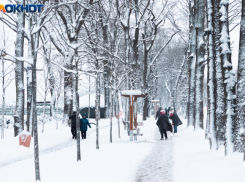 Морозы не отступают: когда ждать потепление в Краснодаре?