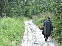 Грибник из Краснодара сел «пятой точкой» на нож 