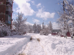 Глава фирмы по уборке территорий в Апшеронске выдал себе премию в 237 тысяч рублей