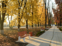 Голосование по выбору парков и скверов для благоустройства в Краснодаре перенесли 