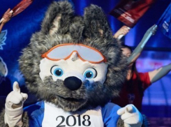 На Кубани закрыли сайт с сувенирами к чемпионату мира по футболу 