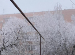 Главное в Краснодаре сегодня: на Кубани обидели Льва Толстого, казачка собралась к Путину, Лепс опережает Ревву, а кто-то выживает с пулей в груди 