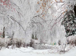 Жителей Армавира просят не выходить на улицу после ледяного дождя