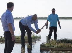 Николай Валуев поработал молотком на стройке Керченского моста 