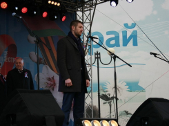 Доходы выросли в 38 раз: как боксер-единоросс с ринга попал в кресло депутата Госдумы