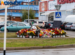 В краснодарской больнице скончалась пострадавшая при падении самолета на дом в Ейске шестилетняя девочка