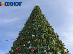 Первые новогодние ёлки и мастер-классы: в Краснодаре опубликовали афишу на 23 и 24 декабря