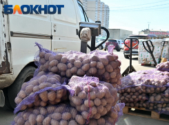 Тонны египетского картофеля с опасным вредителем привезли в Краснодарский край