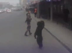 Кинг-Конг по-краснодарски: из Краснодарского цирка сбежал шимпанзе