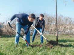 Мэр Краснодара очередной раз принял участие в субботнике 