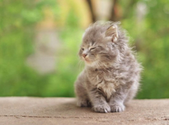  Дождей на Кубани не будет, так что можно отправиться на пикник или море 