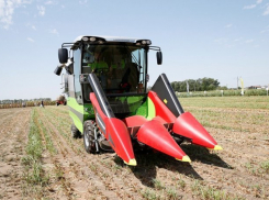  Кубанским фермерам выплатят 120 млн рублей компенсаций за потерянный от града урожай 