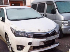 «Мохнатые автомеханики»: в Краснодаре собаки разобрали автомобиль на запчасти