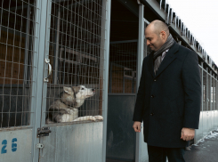 Строительная компания ССК: помогает тем, кто не может попросить о помощи