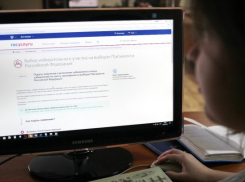 На Едином портале госуслуг можно выбрать удобный для голосования избирательный участок