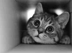 В Краснодаре представили антистрессовую комнату