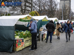 В Краснодаре решили закрыть ярмарку выходного дня на Будённого