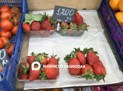 В Краснодаре начали торговать клубникой 