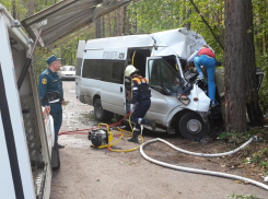 Маршрутка врезалась в дерево на Кубани: погибли две девочки