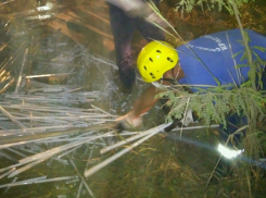  Незаконную свалку опасных ламп убрали в Краснодаре 