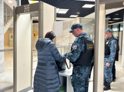 Травматы и электрошокеры пытались пронести в суд жители Кубани