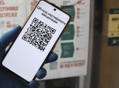 Решение за губернатором: в крае рассмотрят вопрос о QR-кодах в общественных местах  