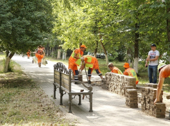 В Гагаринском бульваре Краснодара появится 5 тысяч новых деревьев и кустарников