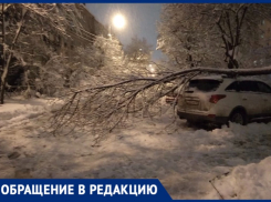 Коммунальщики не выполняют работу: в Краснодаре дерево упало на машину из-за снега 