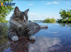 6 января в Краснодарском крае потеплеет, но ожидаются дожди