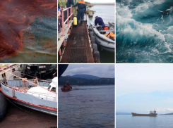 Убиваем всё живое: на Кубани за пять месяцев зафиксировали семь крупных ЧП с разливом нефти в Чёрном море