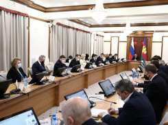 Антикризисный план поддержки экономики Кубани разработают до 15 марта