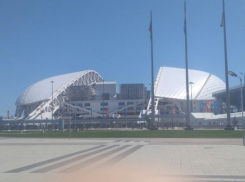  Сборная России сыграет в Сочи только осенью 