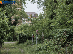 В Краснодарском крае погибли 297 бизнесменов