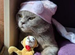 Выходные на Кубани испортятся грозой, но в пятницу будет сухо