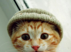 Похолодание вновь придет в Краснодарский край