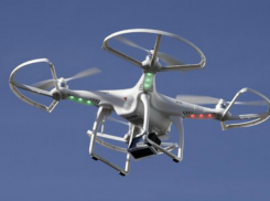 В Анапе против гадких клещей и комаров будут бороться с помощью роботов