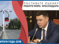 Канатная инновация и Зиповская импровизация: чем занималась мэрия Краснодара в 2018 году 