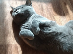 Стойкое потепление надвигается на Краснодарский край