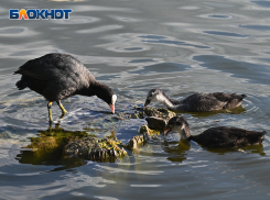 Осенний дождь сменит летнюю жару в Краснодаре