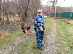 Овчарка Яра помогла раскрыть кражу бензопил в Краснодарском крае 