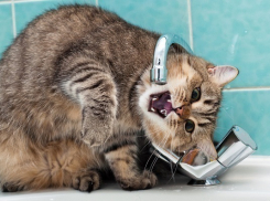 В Сочи без воды остались жители трех поселков 