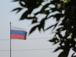 Краснодарский бизнес нанёс ответный удар по санкциям 