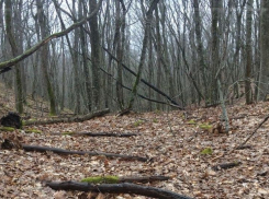 В Краснодарском крае пропавший подросток сам пришел домой