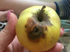 «Зато без химии»: больных детей в краснодарской «инфекционке» кормят червивыми яблоками