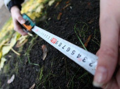 В Выселковском районе мошенники «одурачили» местную власть и присвоили муниципальную землю себе