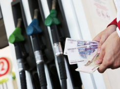 Более 1,3 млн рублей потратят на бензин чиновники Краснодара