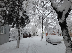 Метеорологи в Краснодаре назвали фейком информацию о рекордных осадках